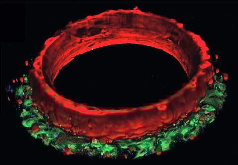 SmartHeart_3D_w480 SmartHeart_3D_w480