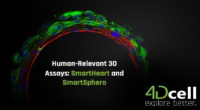 slide_thumb_4dcell_260212