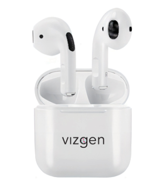 vizgen_earbuds vizgen_earbuds